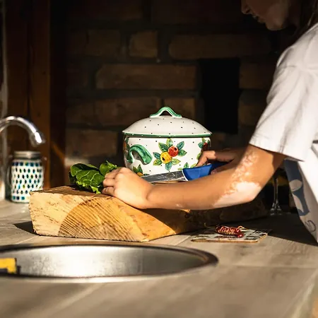 Brvnare Bor I Jela * ורדניק