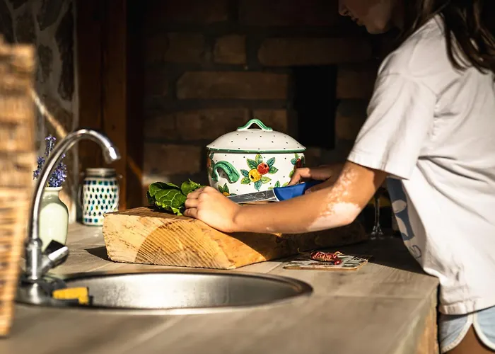 Brvnare Bor I Jela * 브르드니크